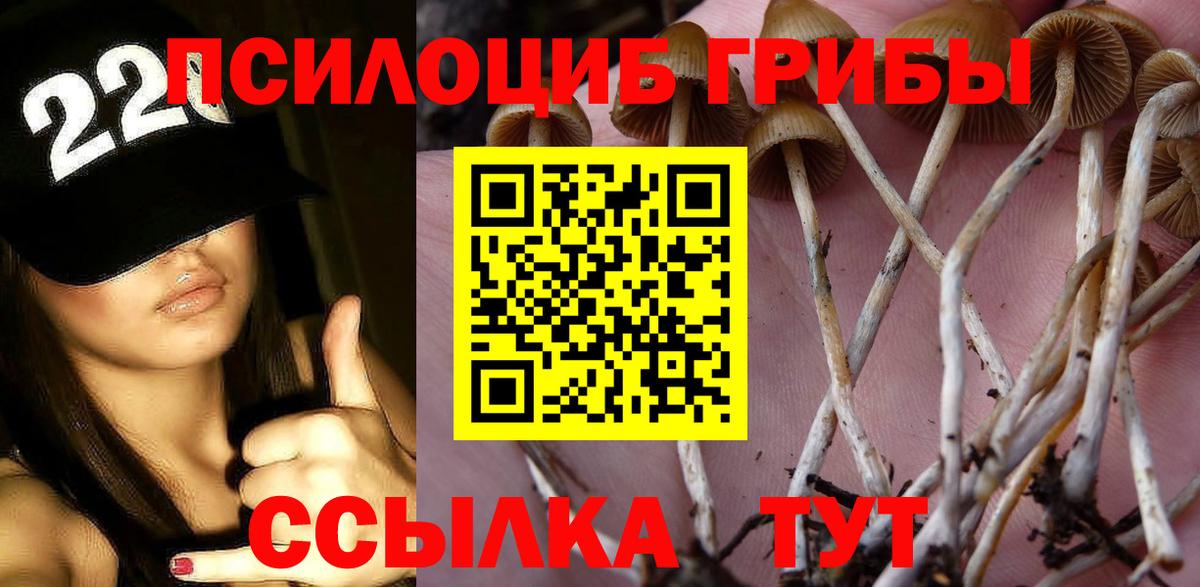 Бор  Псилоцибиновые грибы ЛСД  Галлюциногенные грибы мицелий  Вход с VPN 