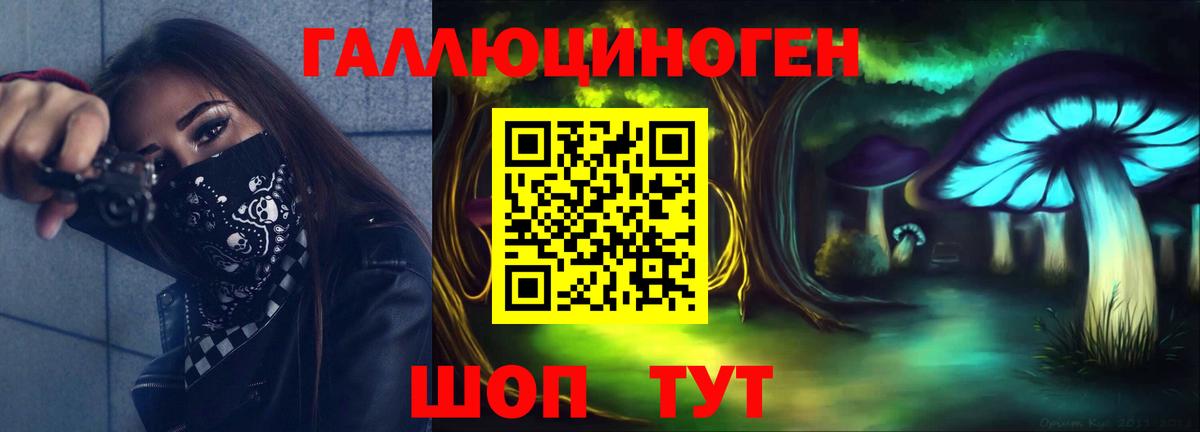 Псилоцибиновые грибы прущие грибы Бор
